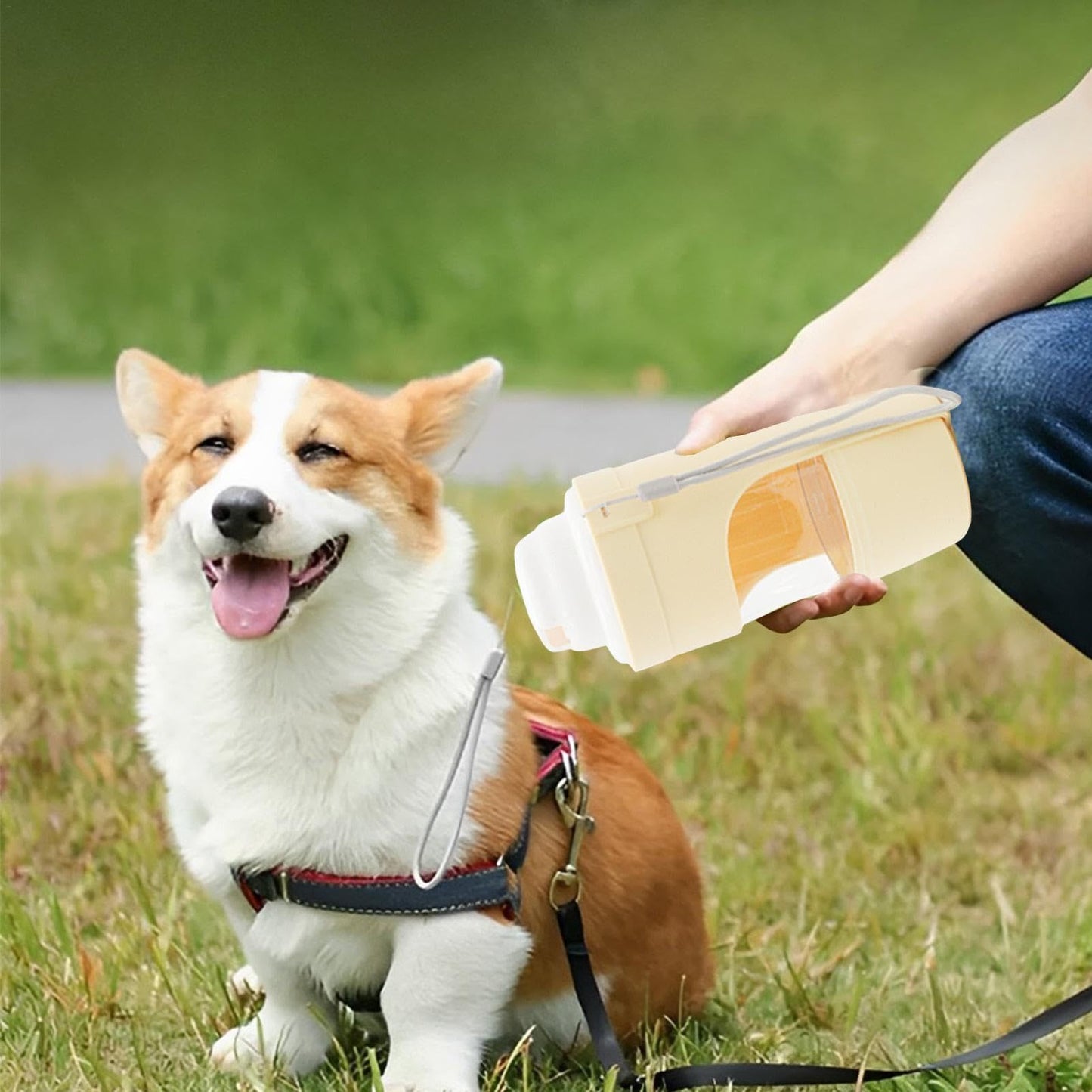 Dispensador de Agua 2en1 para Mascotas - Portátil